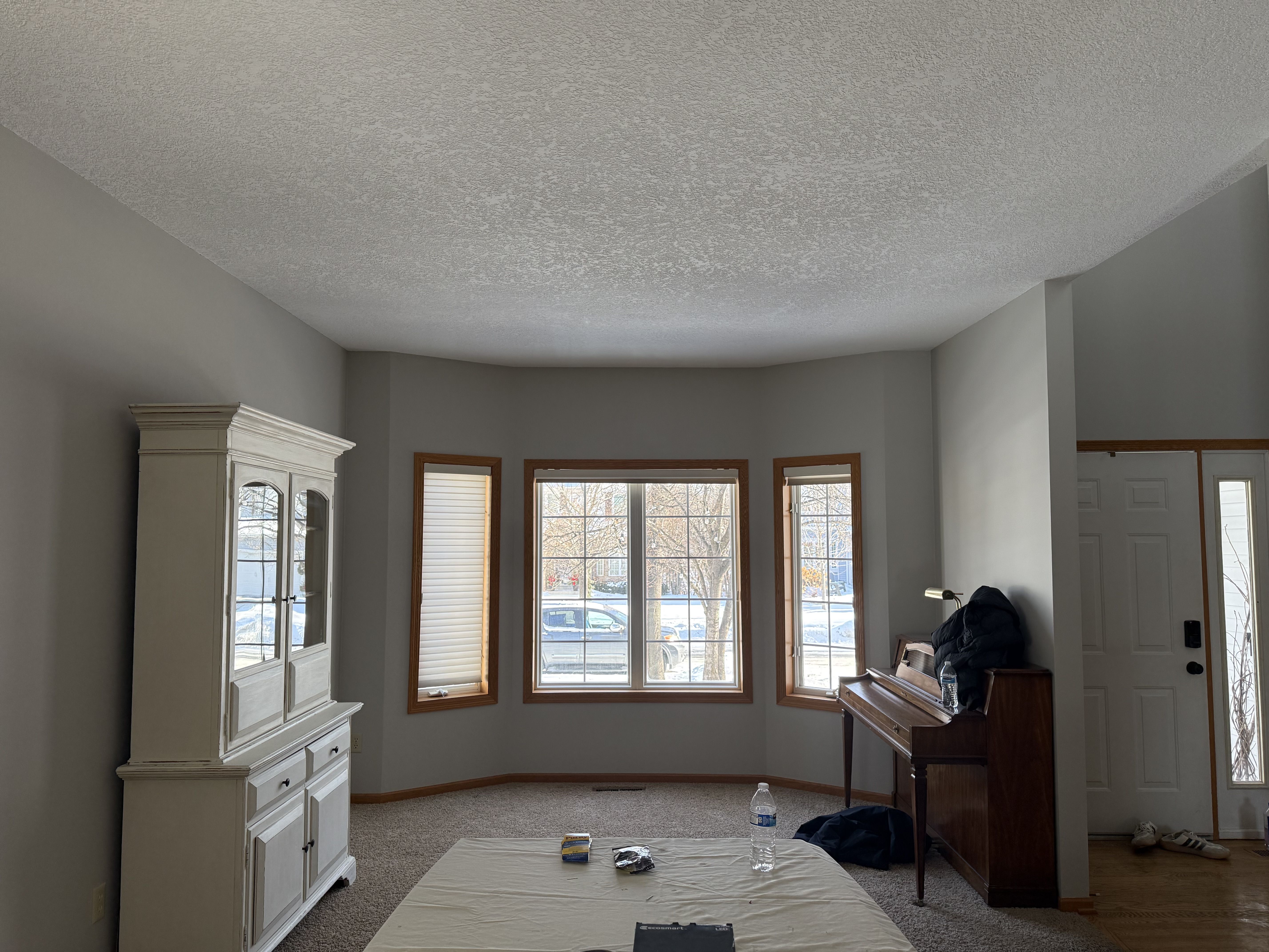 Popcorn Texture Removal painting project in Twin Cities, MN by PaintCraft