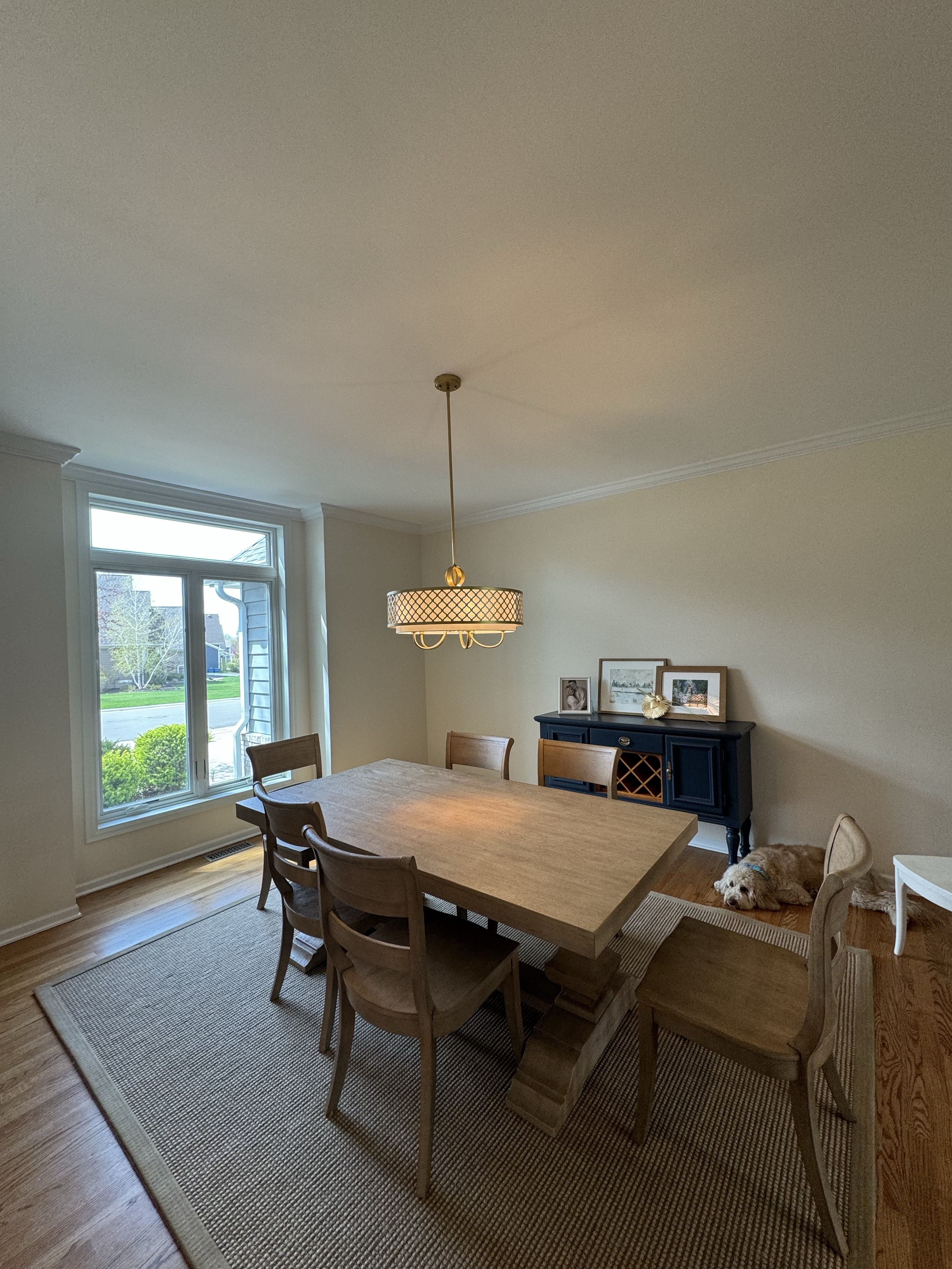 Popcorn Texture Removal painting project in Twin Cities, MN by PaintCraft