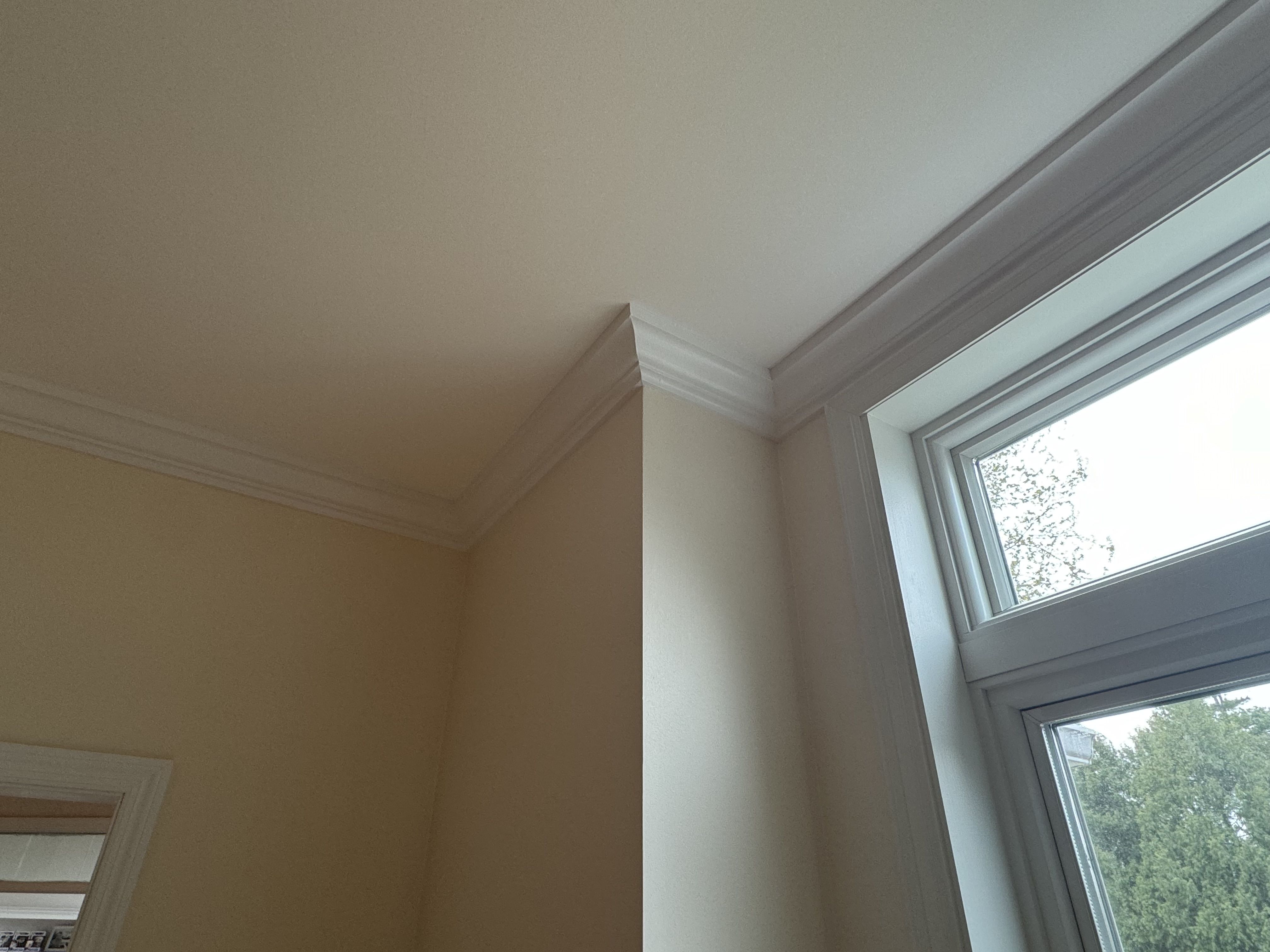 Trim and Moulding painting project in Twin Cities, MN by PaintCraft