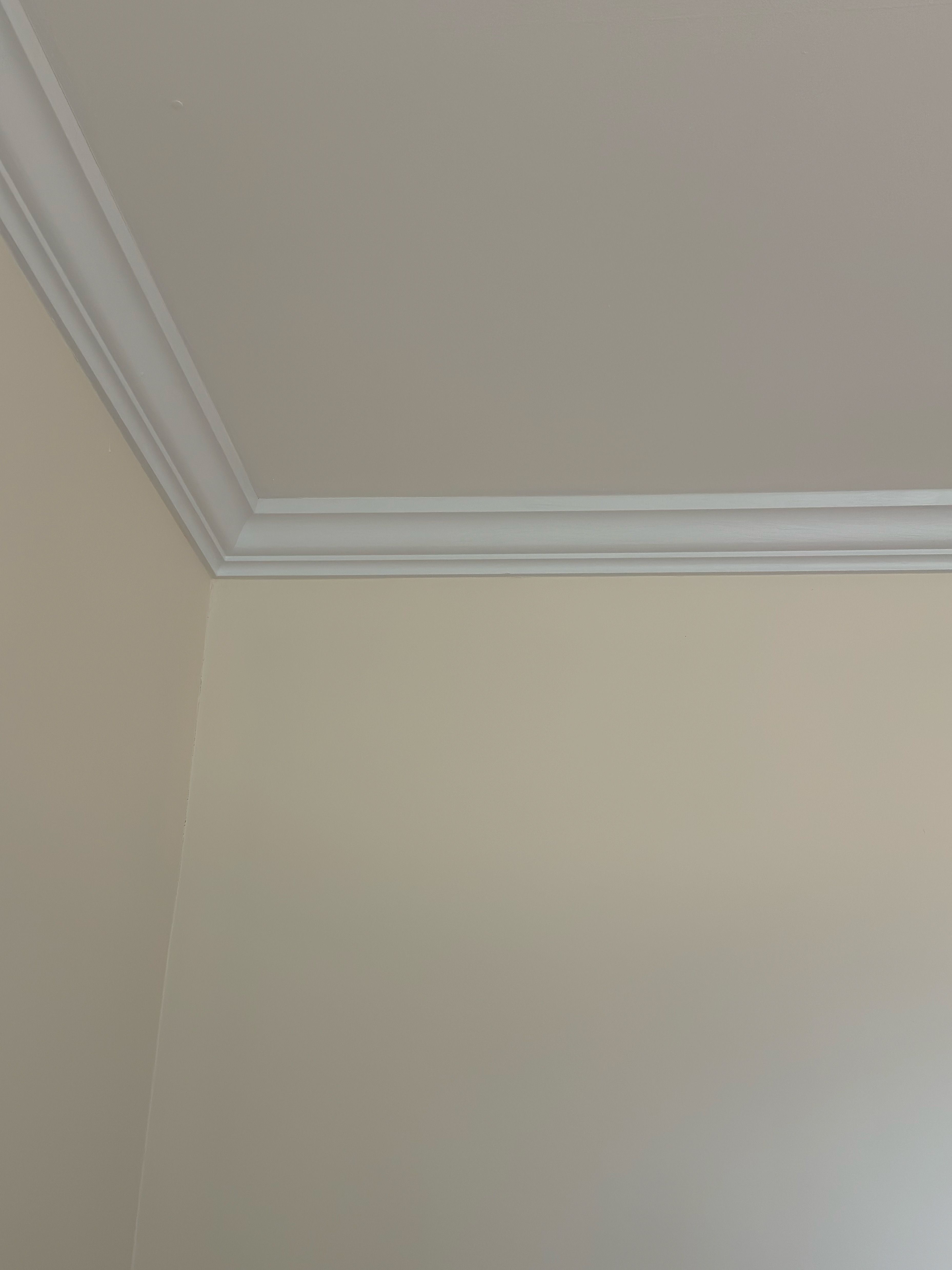 Trim and Moulding painting project in Twin Cities, MN by PaintCraft