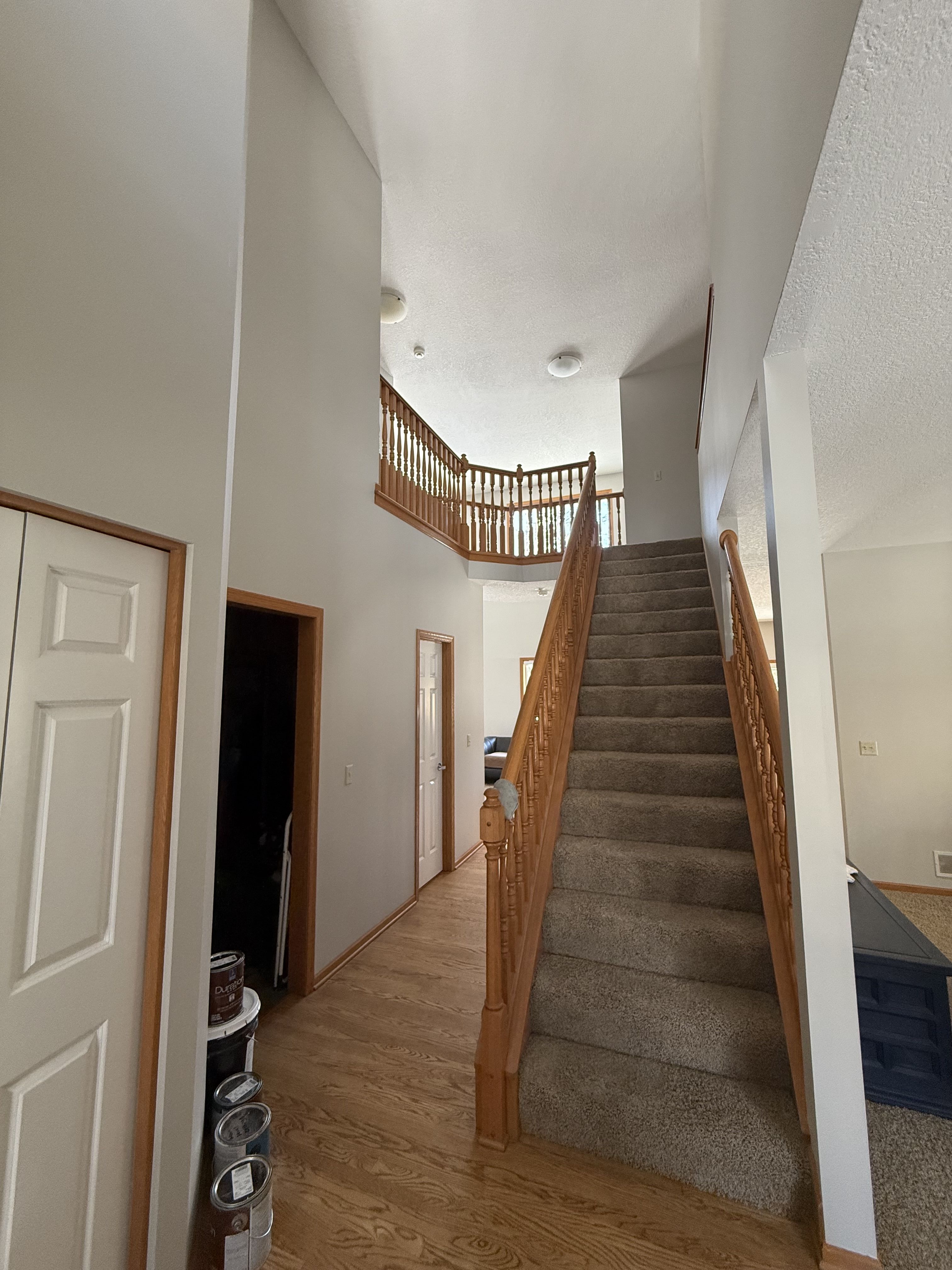 Walls and Ceilings painting project in Twin Cities, MN by PaintCraft