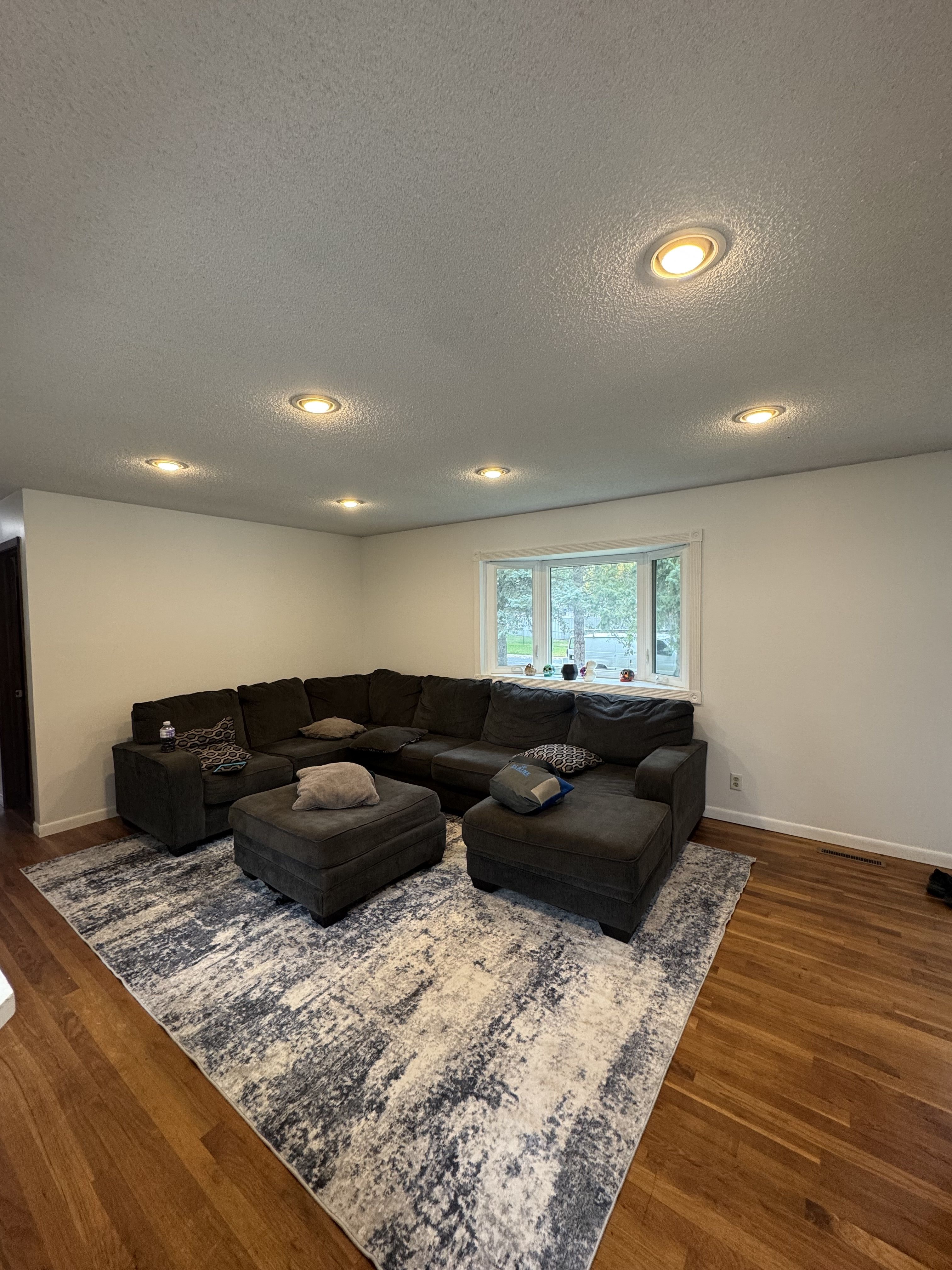 Walls and Ceilings painting project in Twin Cities, MN by PaintCraft