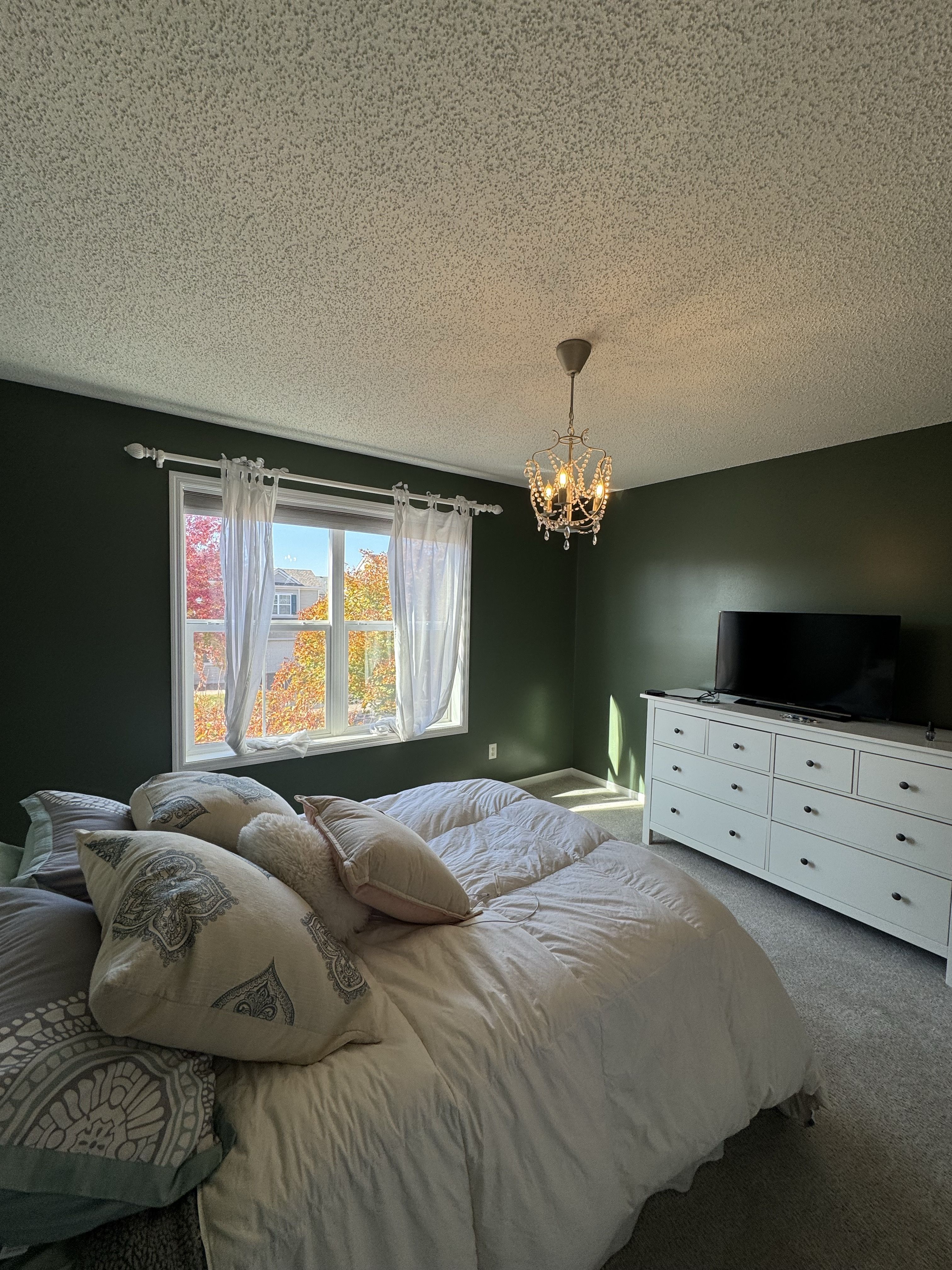 Walls and Ceilings painting project in Twin Cities, MN by PaintCraft