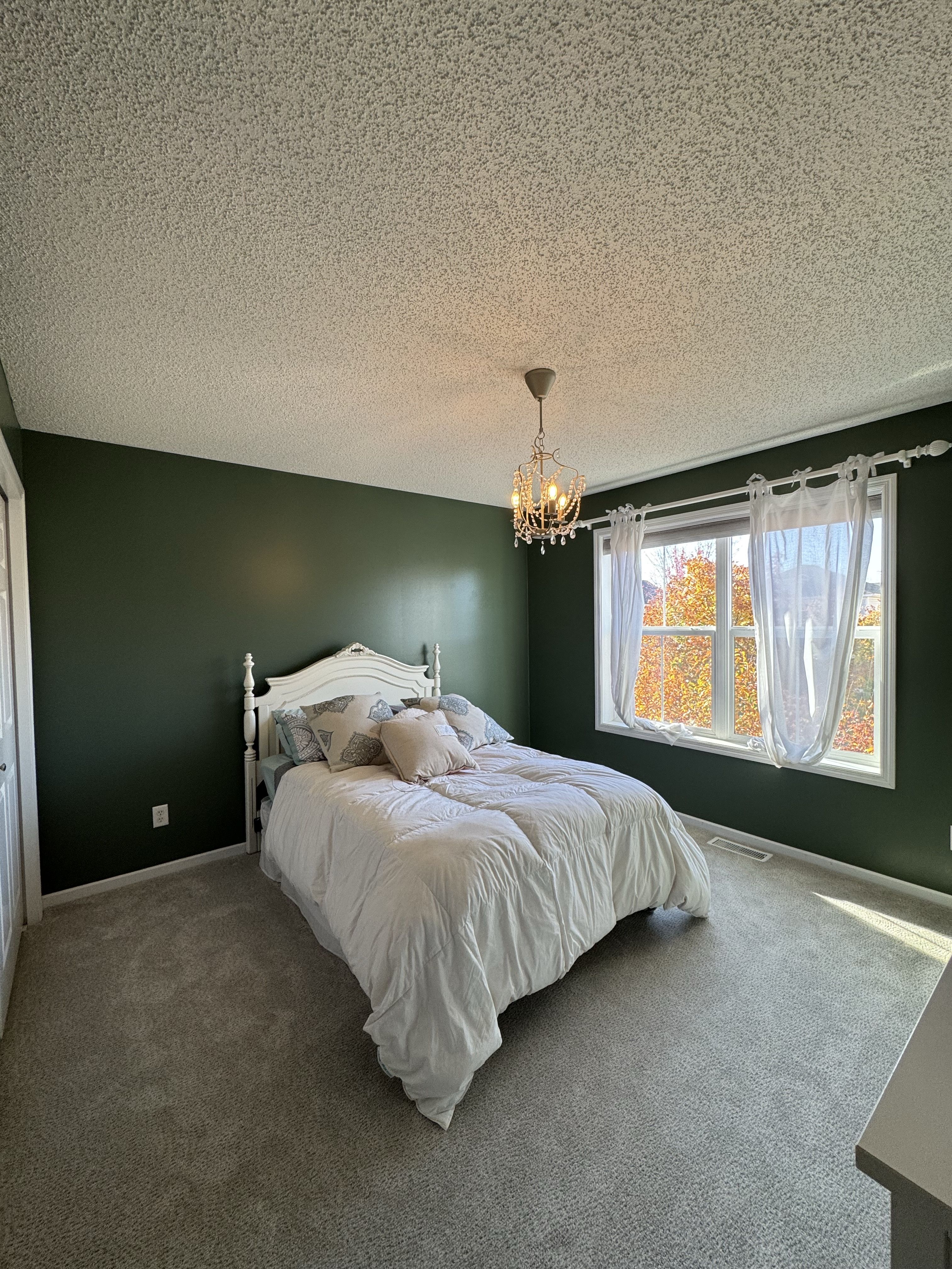 Walls and Ceilings painting project in Twin Cities, MN by PaintCraft
